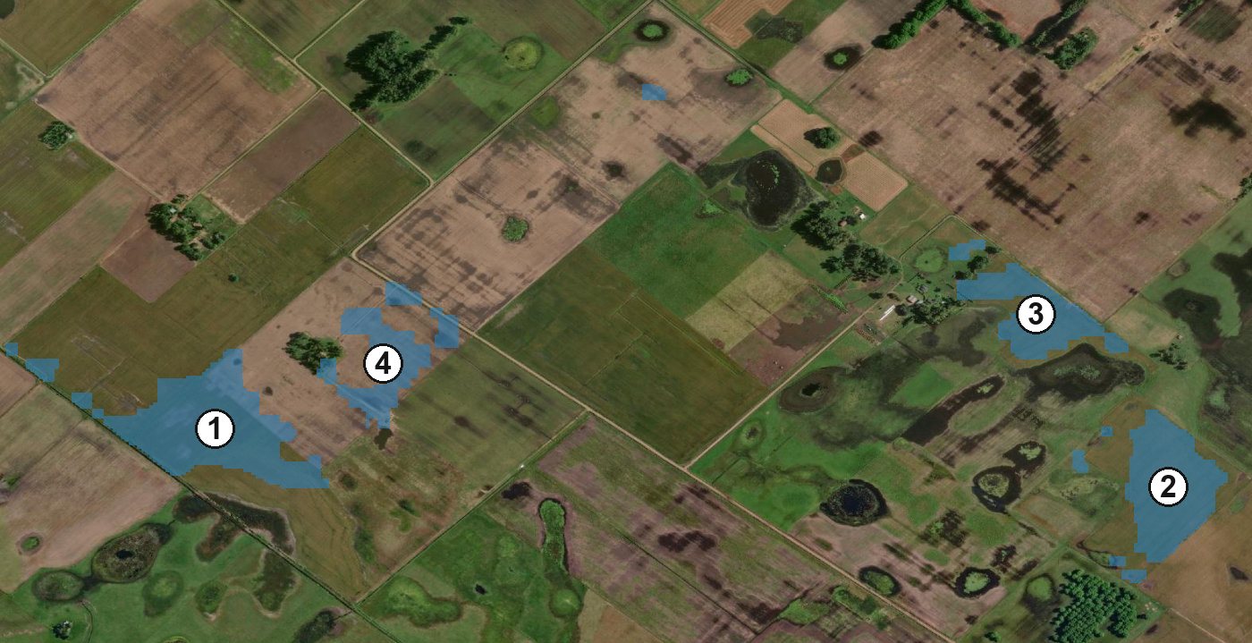Plan de muestreo dirigido de Don Alejandro: cuatro zonas prioritarias numeradas sobre imagen satelital